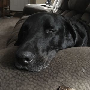 Meet your Posher, Tracy